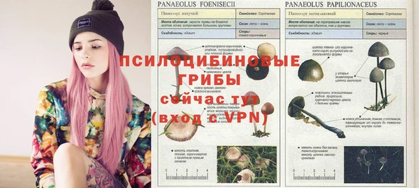 прущие грибы Алексеевка