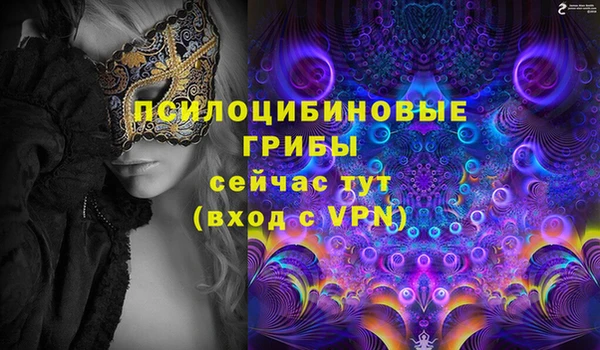 прущие грибы Алексеевка